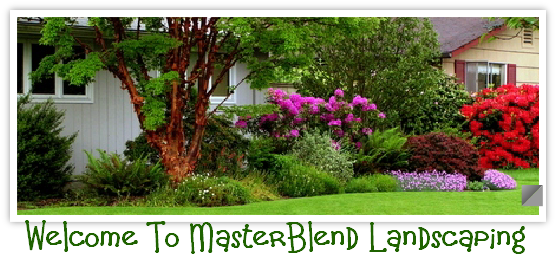Welcome To MasterBlend Landscaping